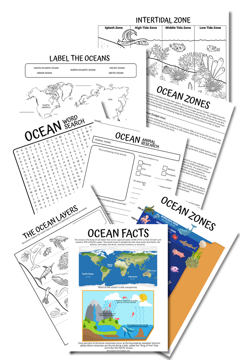 ocean-zones-worksheets-non-screen-activities-for-kids