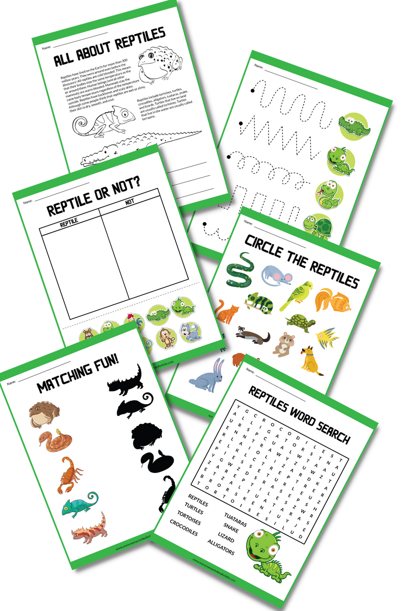Reptiles Worksheets For Kids reptiles-worksheets-for-kids