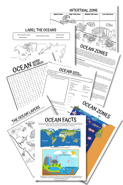 Kids Ocean Activity Worksheets Homeschool Sea